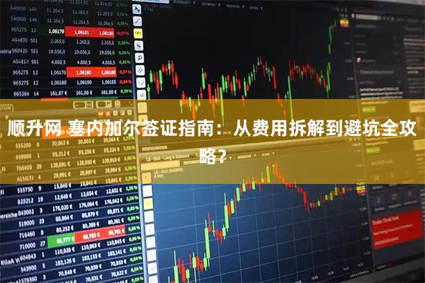 顺升网 塞内加尔签证指南：从费用拆解到避坑全攻略？